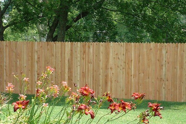 Wood Fences