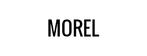 Morel