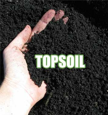 Topsoil