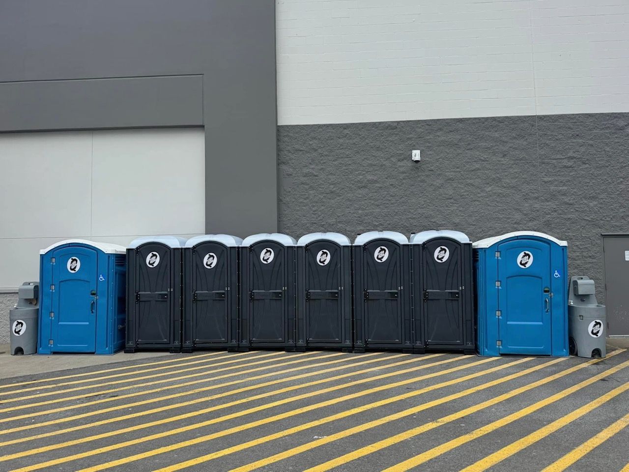 Row of portable toilets, mostly black with blue units at each end, against a gray wall.