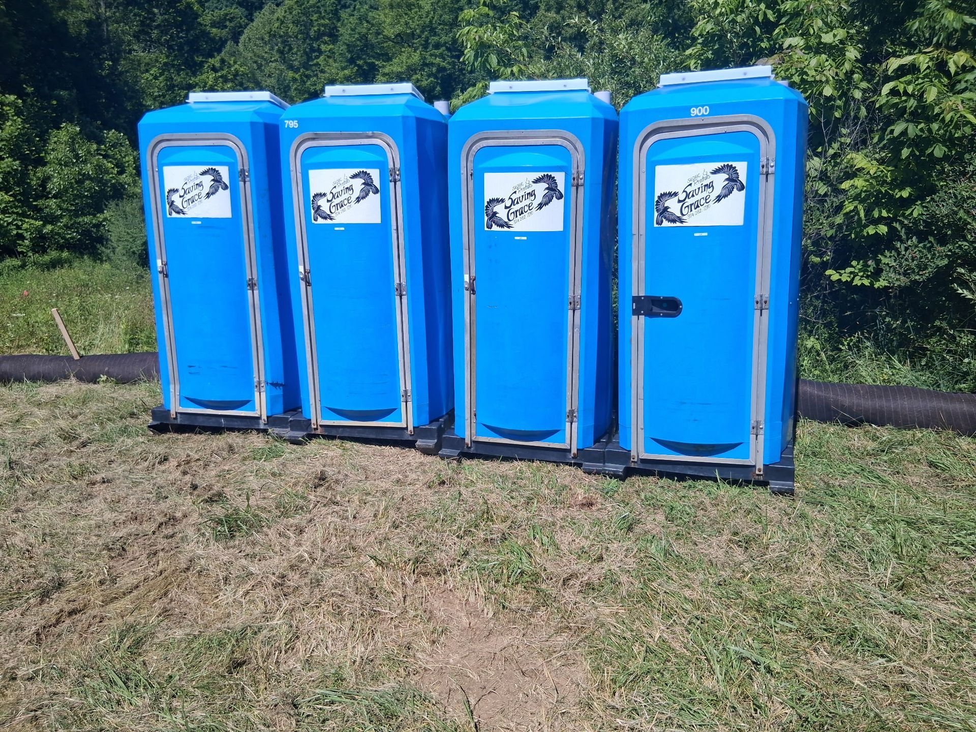 Four blue portable toilets lined up outdoors on grass near trees
