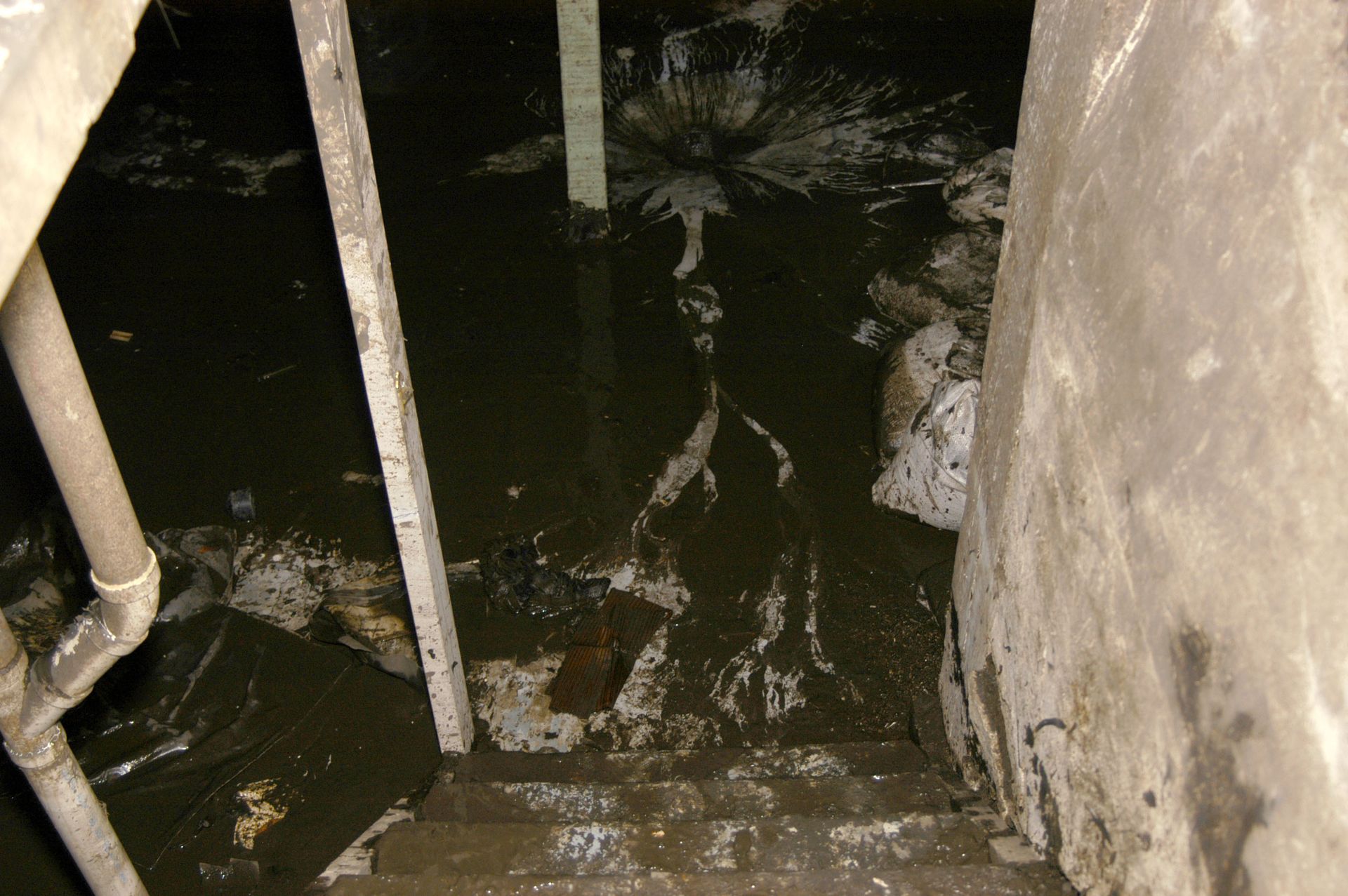 water damage services