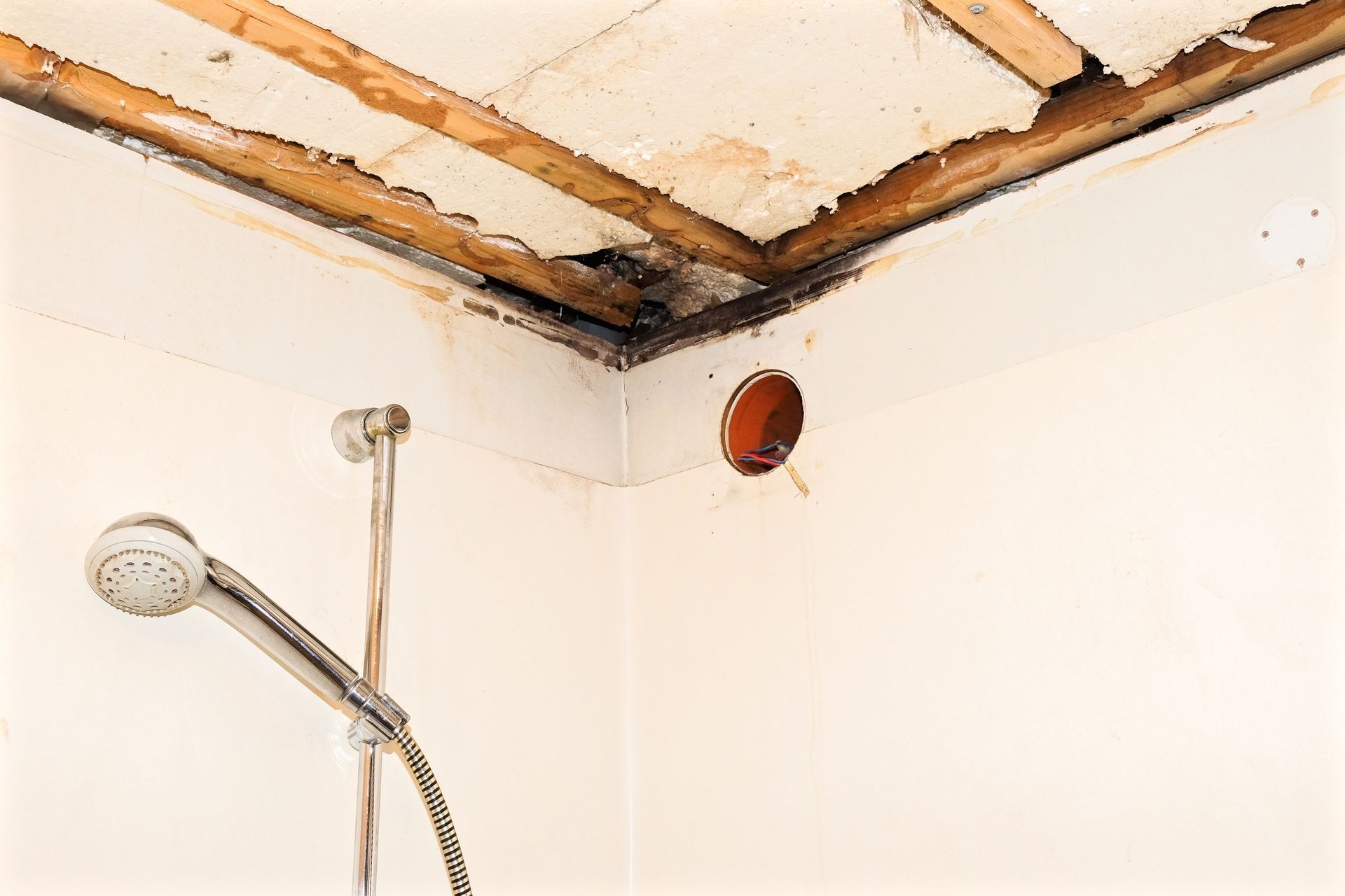 Damaged bathroom ceiling with exposed wood, mold, and a showerhead.