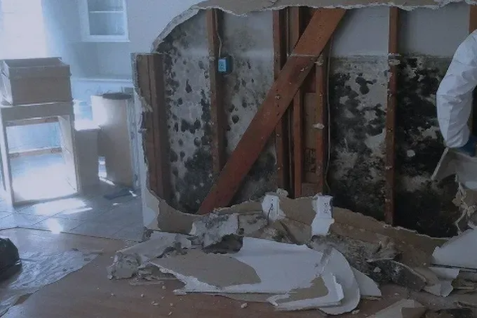 Mold damage inside a home; wall partially demolished with visible mold, worker in protective suit.