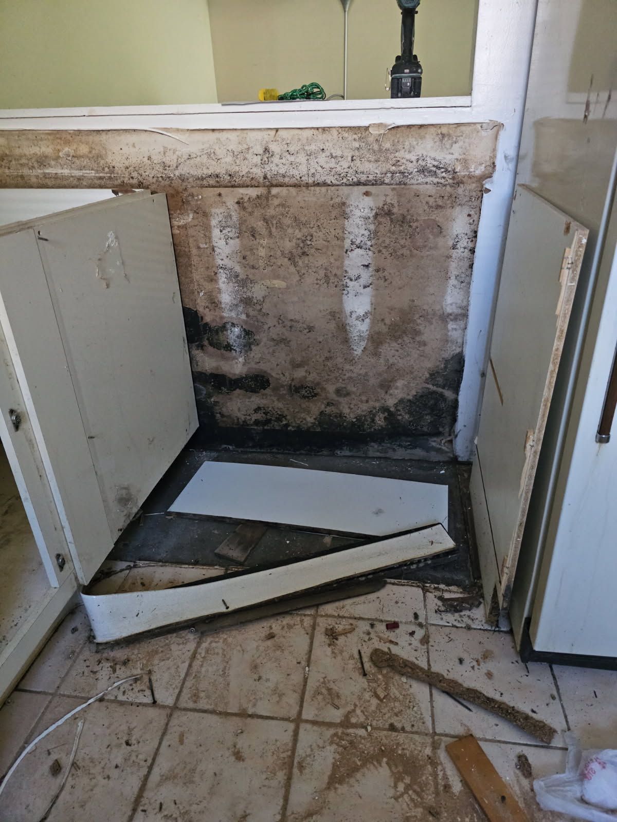 Kitchen cabinet removed, revealing water damage on wall. Mold present, white cabinet pieces scattered.