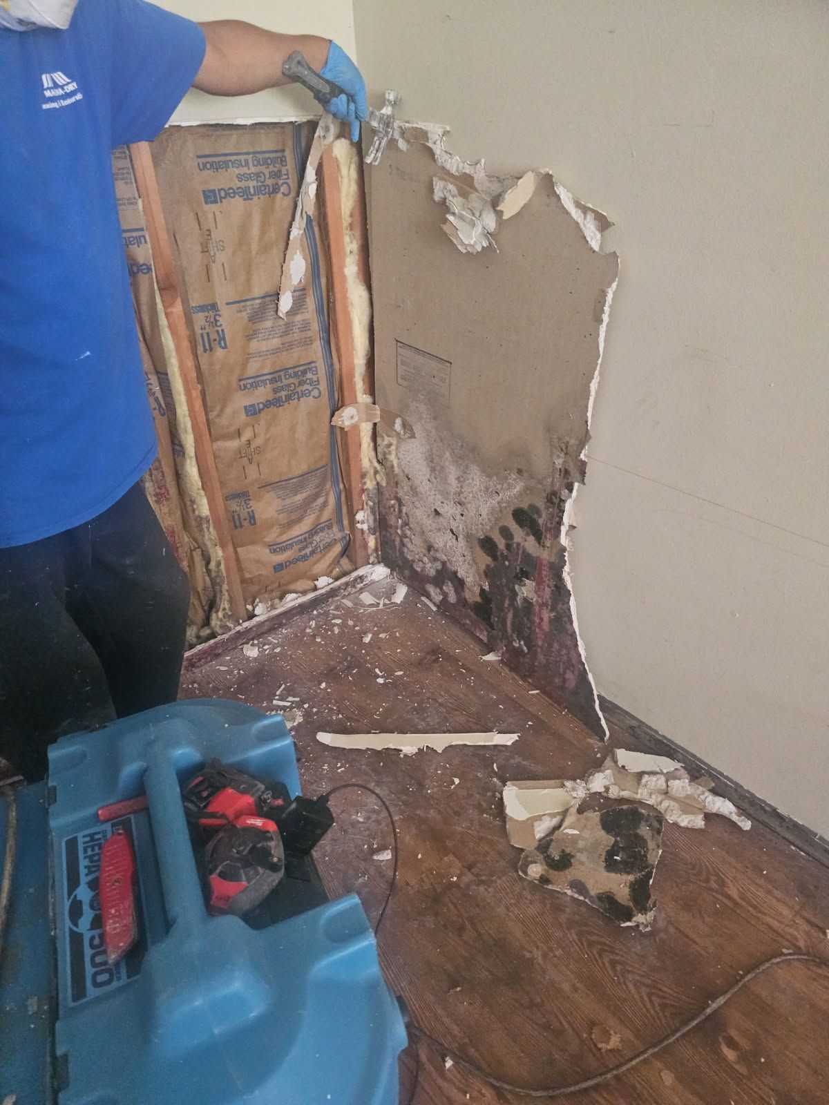 Person in blue removes damaged drywall revealing moldy structure. Floor fan and wood floor visible.