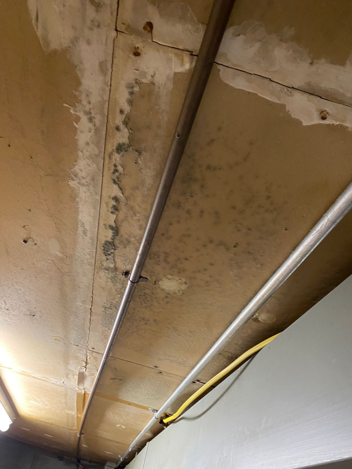 Mold growth on a ceiling near metal pipes; water stains present.