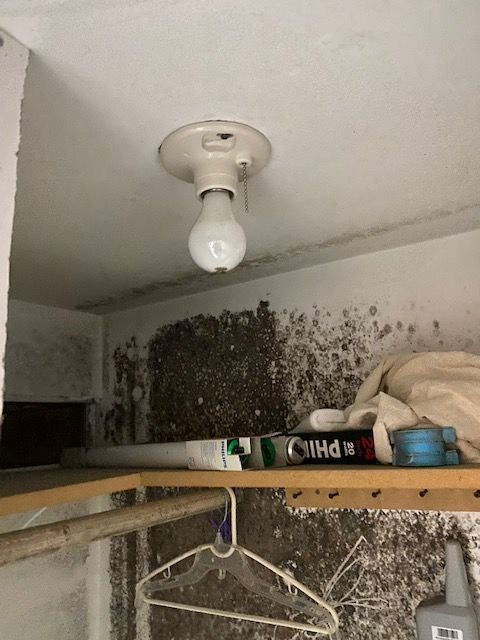 Light fixture in a room with extensive mold growth on the walls.