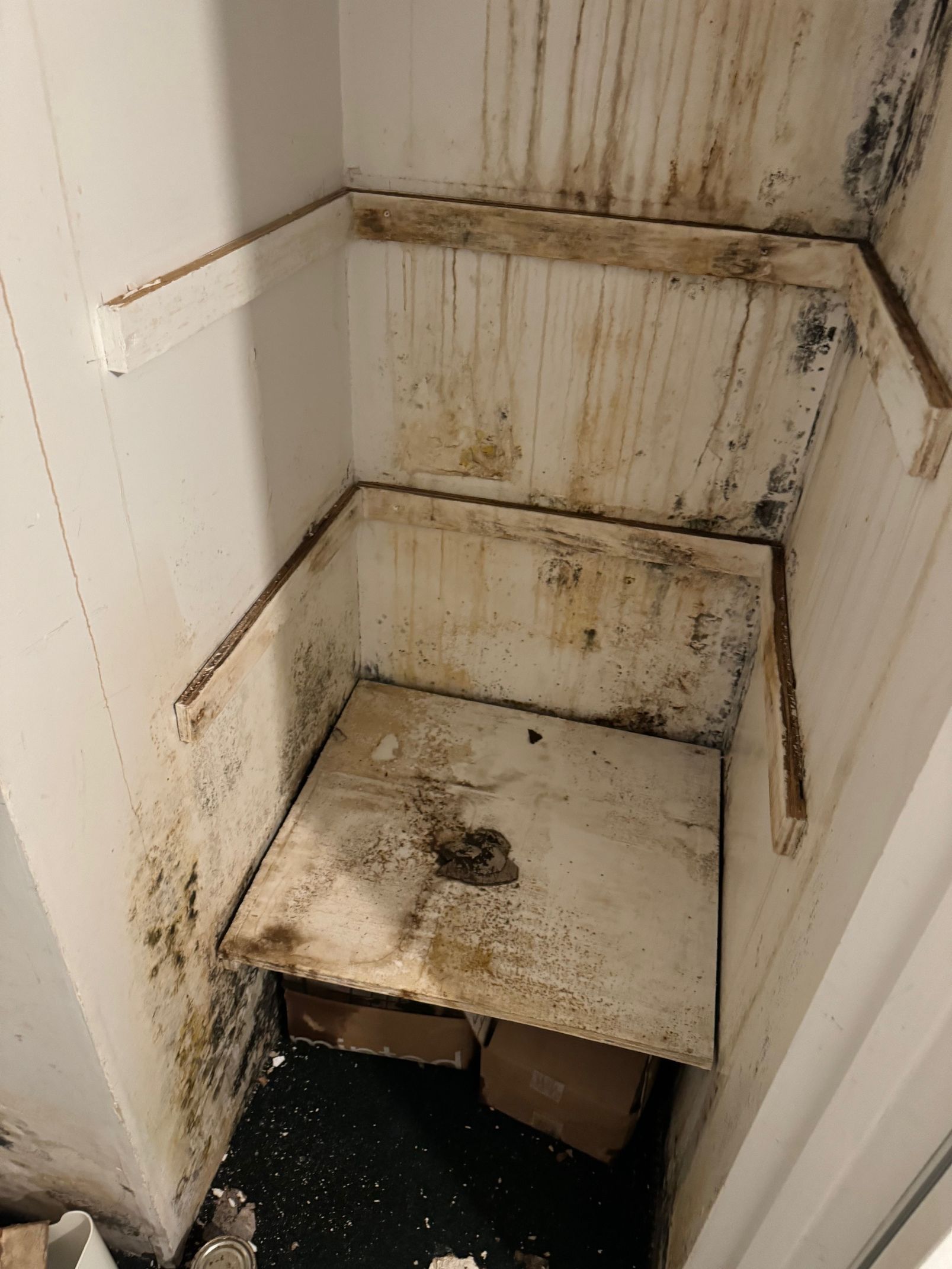Moldy shelving unit in a closet. Brown and black stains cover the wood.