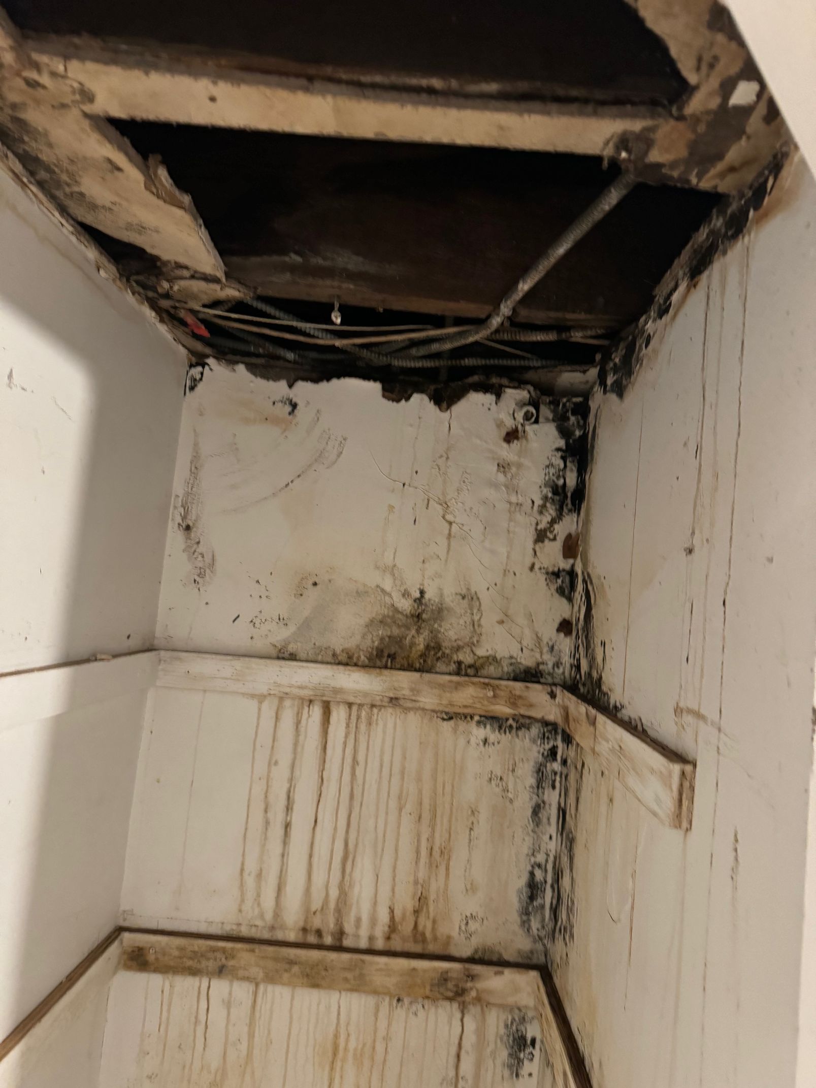 Interior view of a moldy wall and ceiling; water damage, discoloration, and a hole.