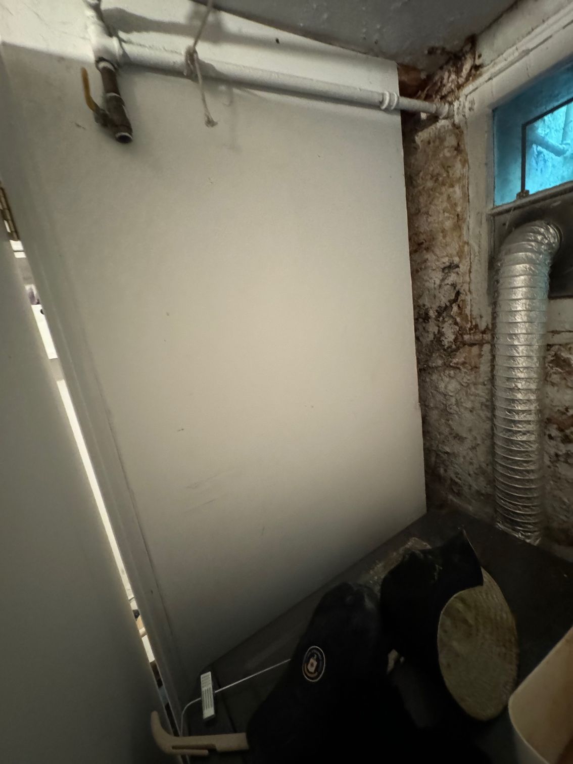 White door in a basement corner, next to a window and exposed brick wall.