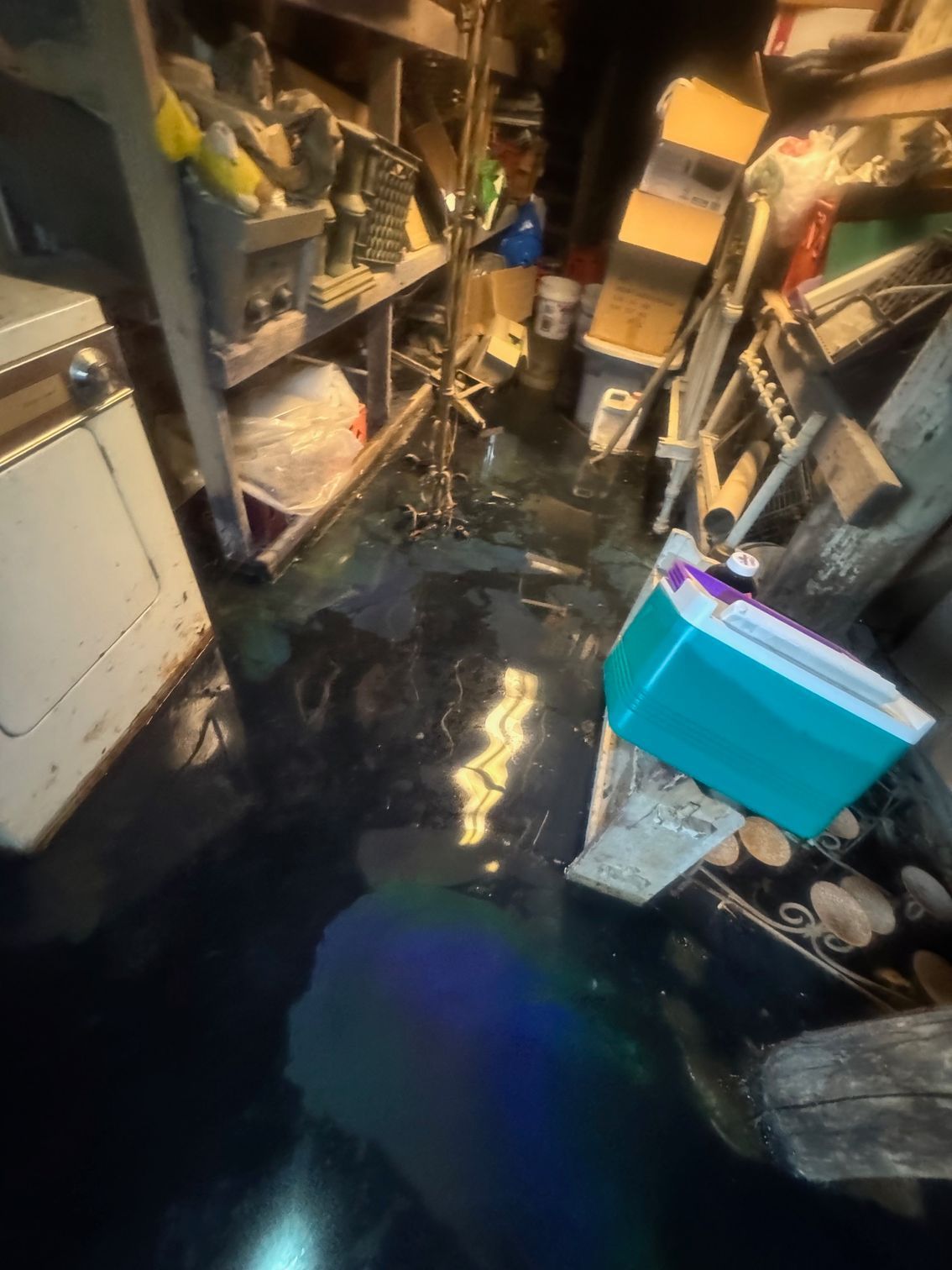 Flooded basement with dark water reflecting light. Shelves of tools and boxes are visible.