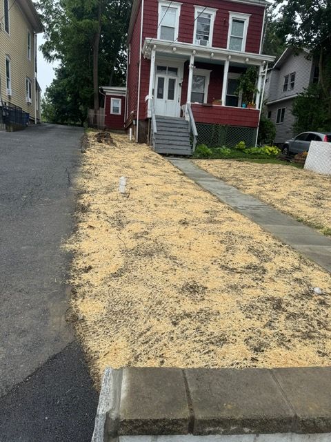 Red house with wood chip-covered yard, concrete walkway, and asphalt road.