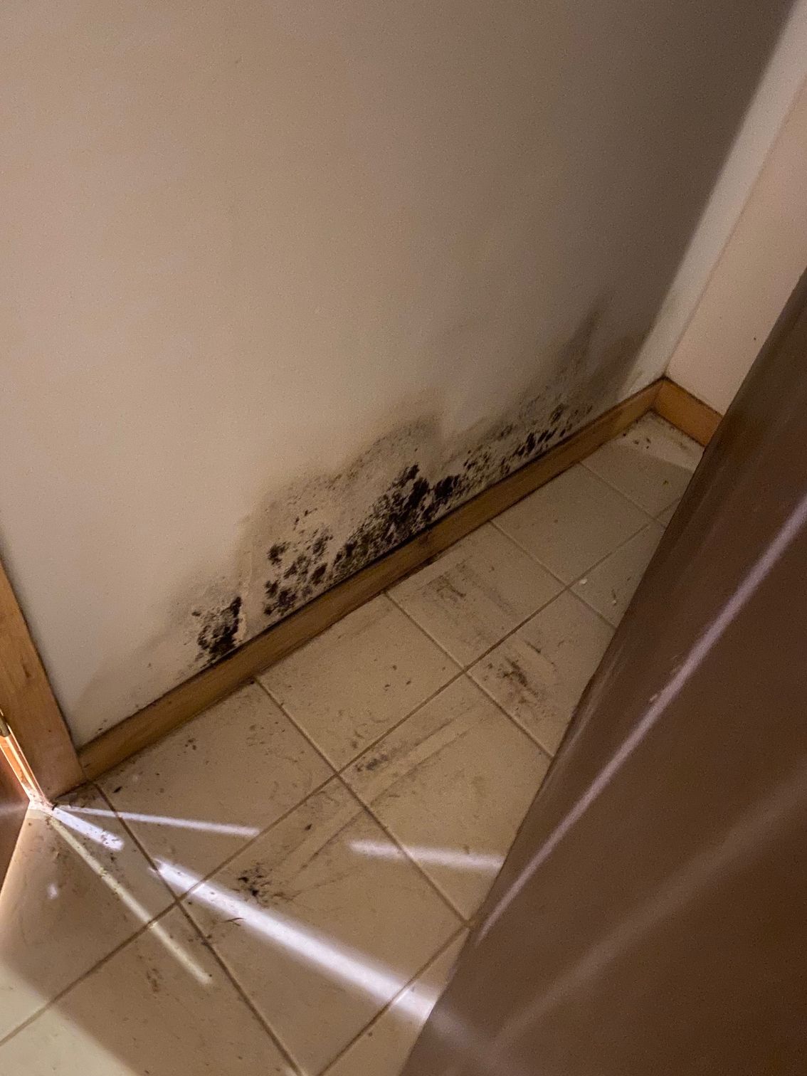 Black mold growth on a white wall and baseboard in a tiled room.
