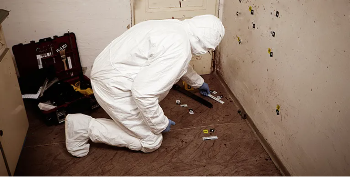 Moldy wooden planks and beams in an attic space. The wood is brown with patches of blue and green mold.