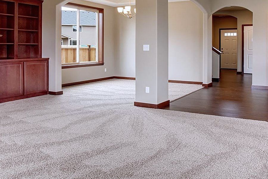Empty living room with beige carpet, window, and built-in bookcase.