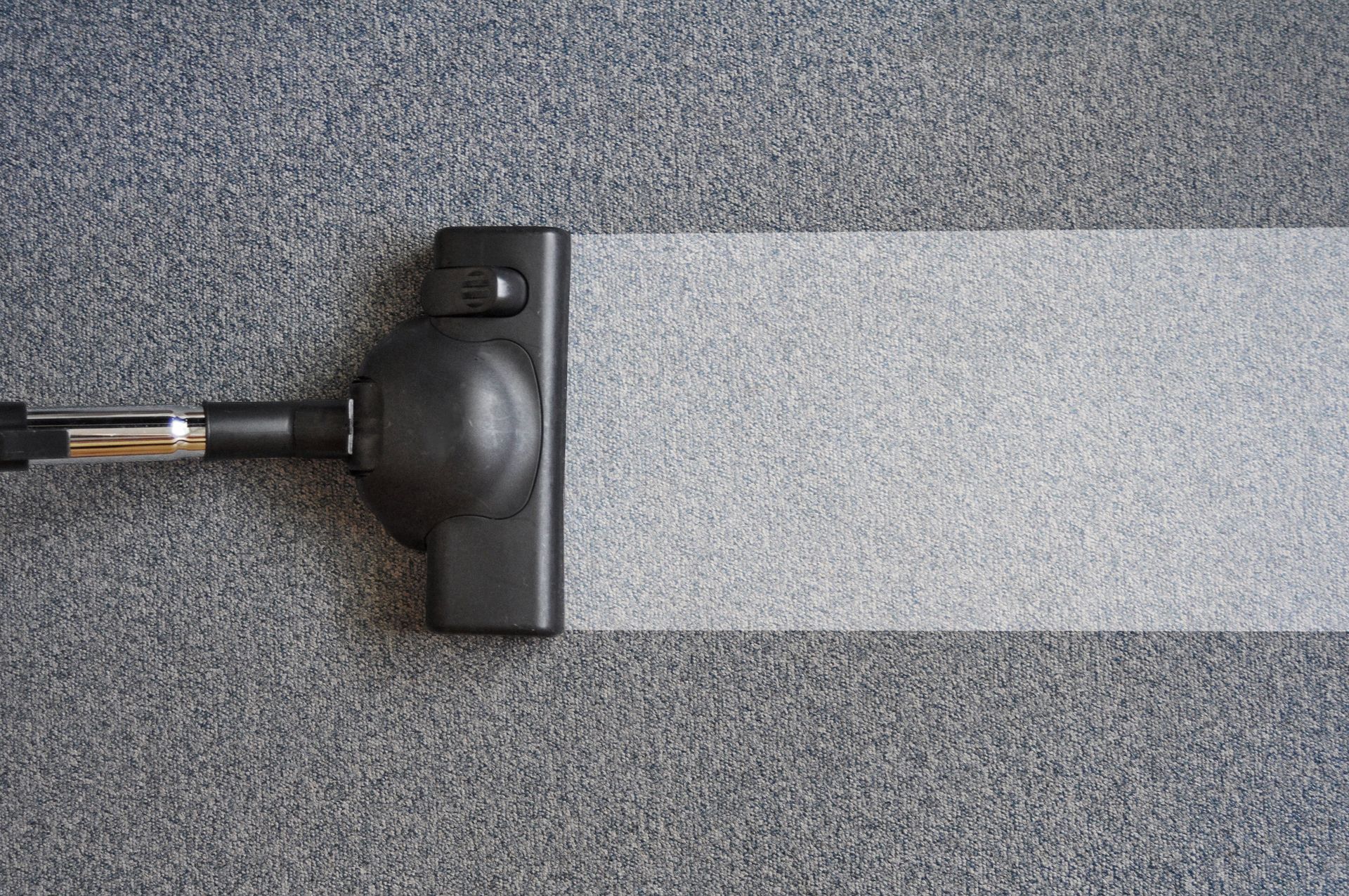 Moldy wooden planks and beams in an attic space. The wood is brown with patches of blue and green mold.