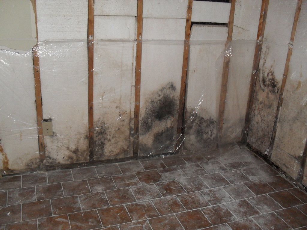 Moldy wooden planks and beams in an attic space. The wood is brown with patches of blue and green mold.