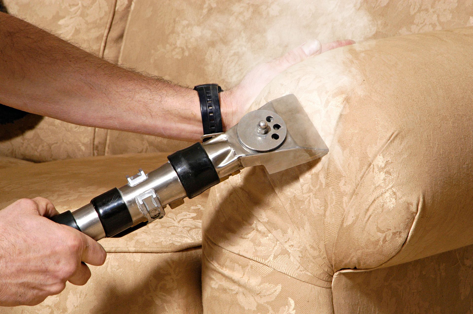 Moldy wooden planks and beams in an attic space. The wood is brown with patches of blue and green mold.