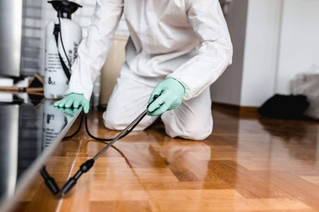 Healthy Home Pest Control & Services