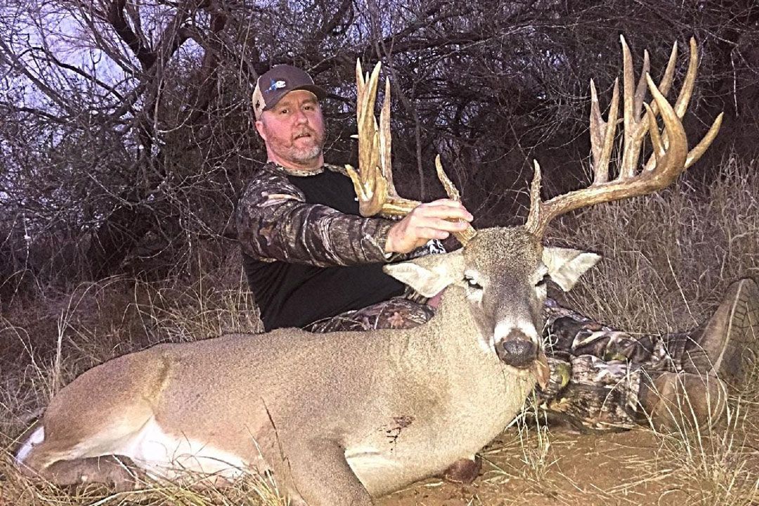 Whitetail hunting
