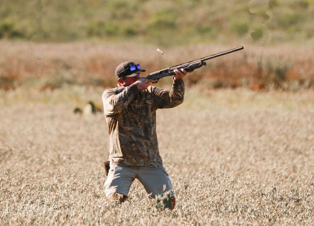 Dove Hunting Excursions Pearsall, TX