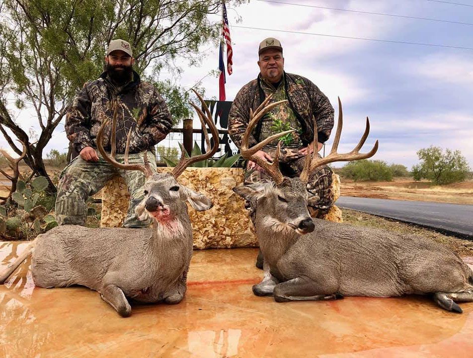 Hunting success