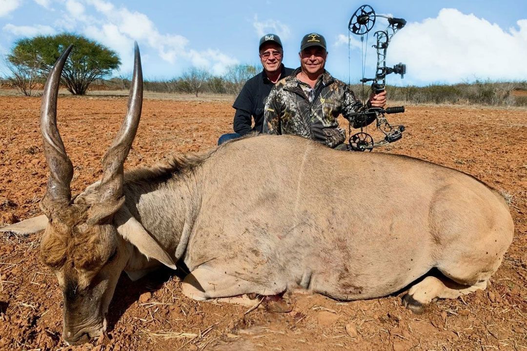 Hunting success