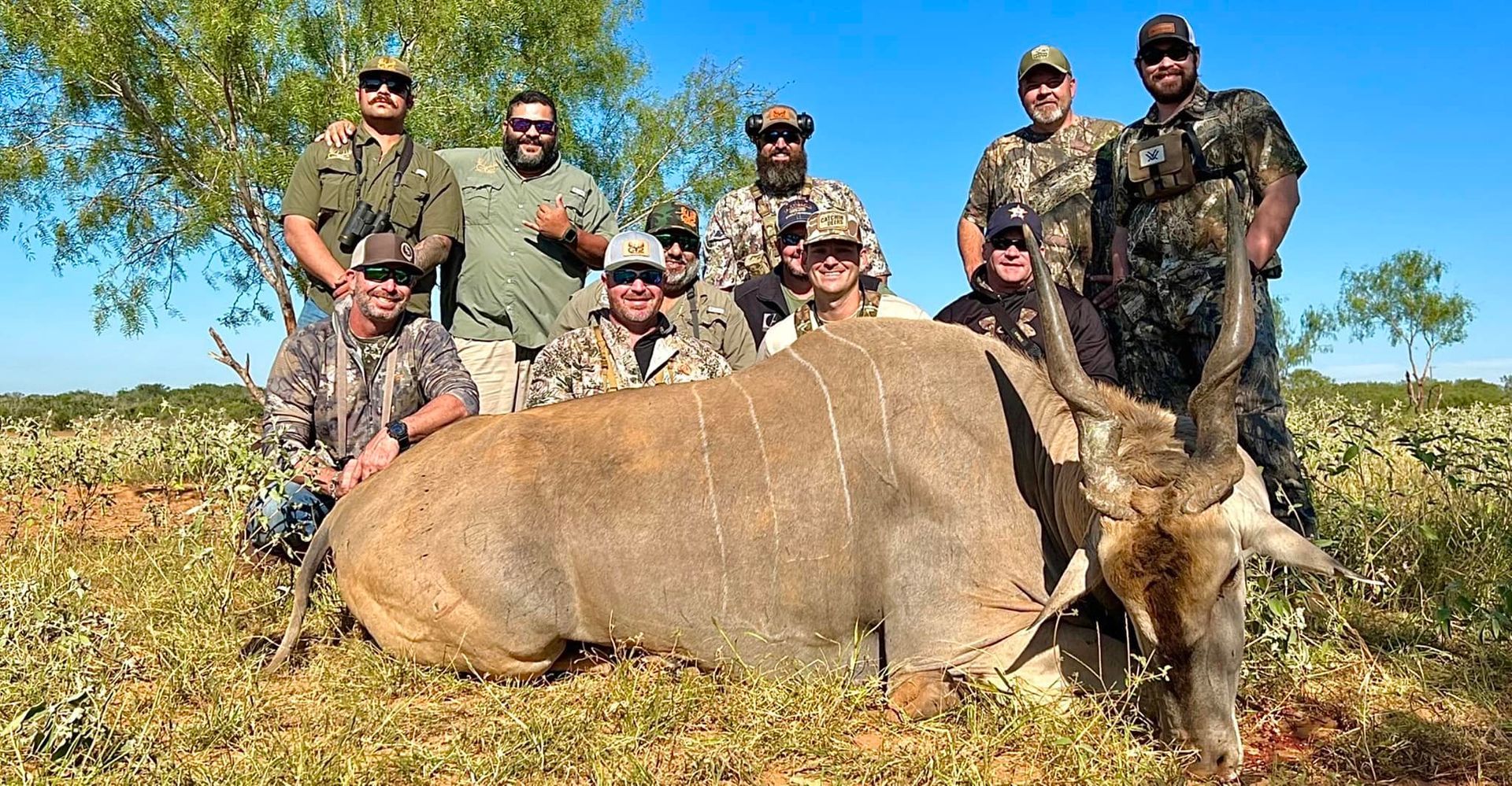 Hunting success