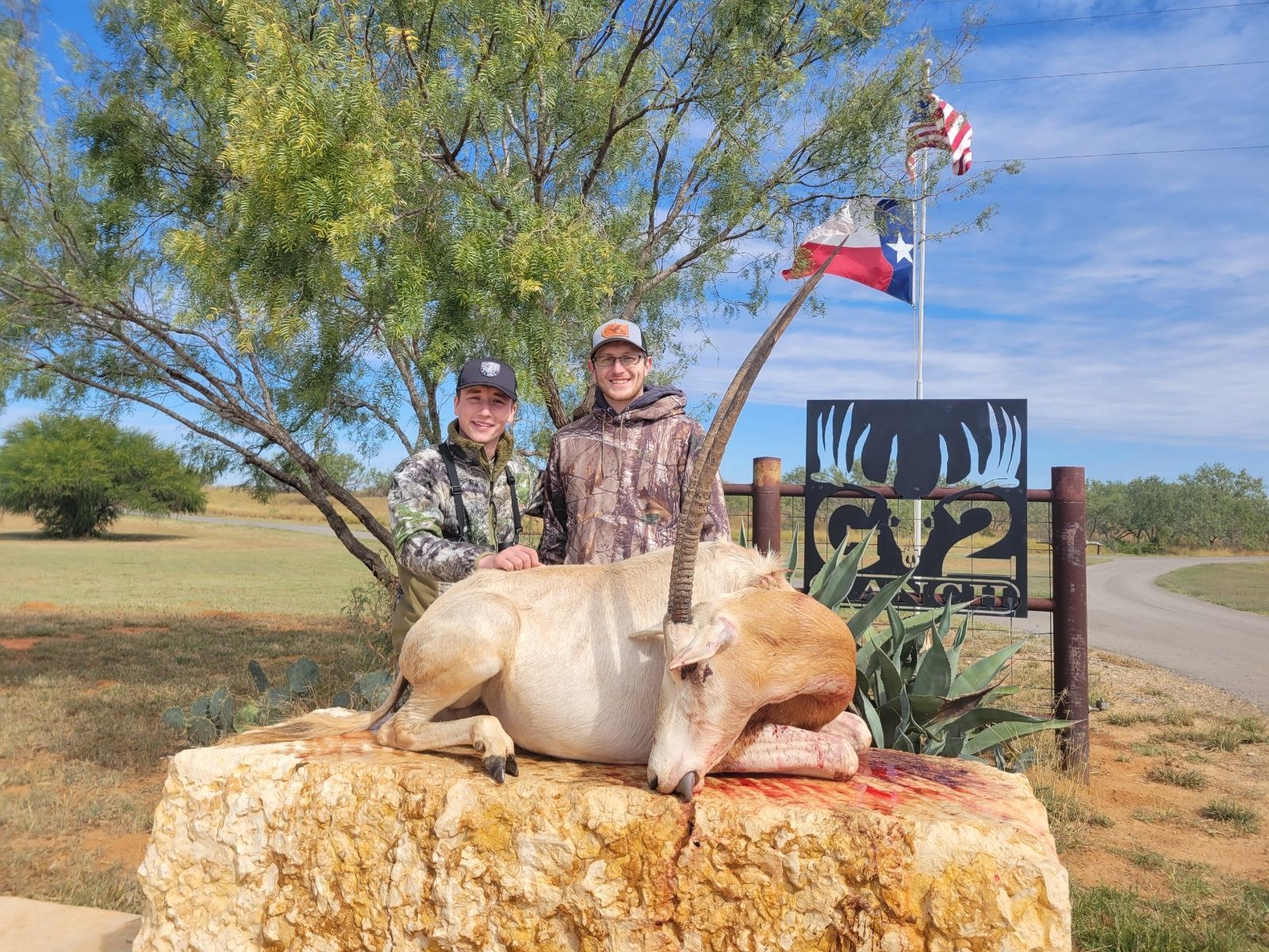 Hunting success
