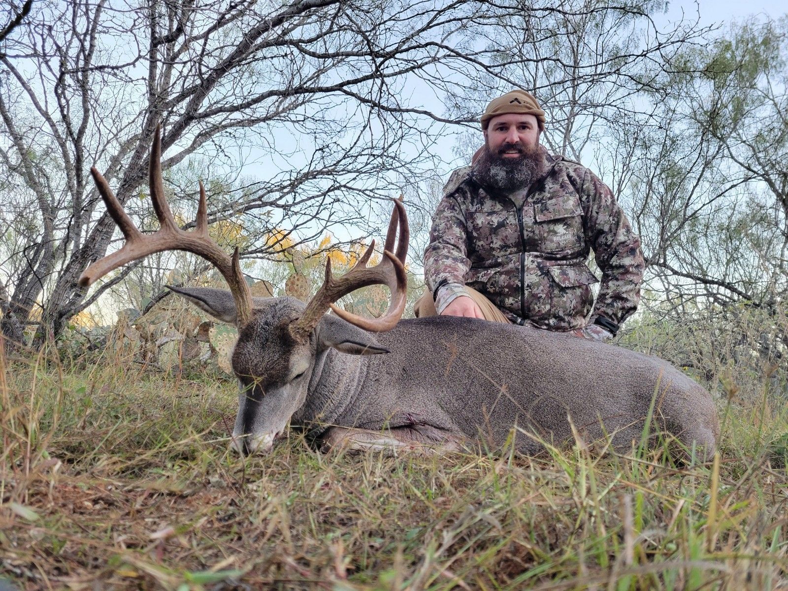 Hunting success
