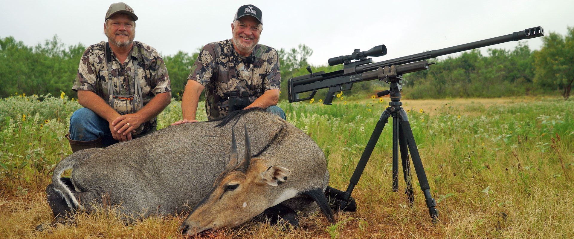 Exotic hunts