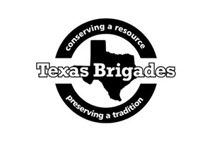 Texas Brigades