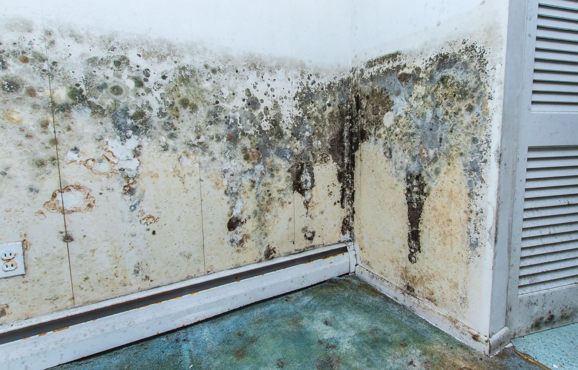 Mold-covered wall in a corner of a room, with dark stains, water damage, and white paint peeling.