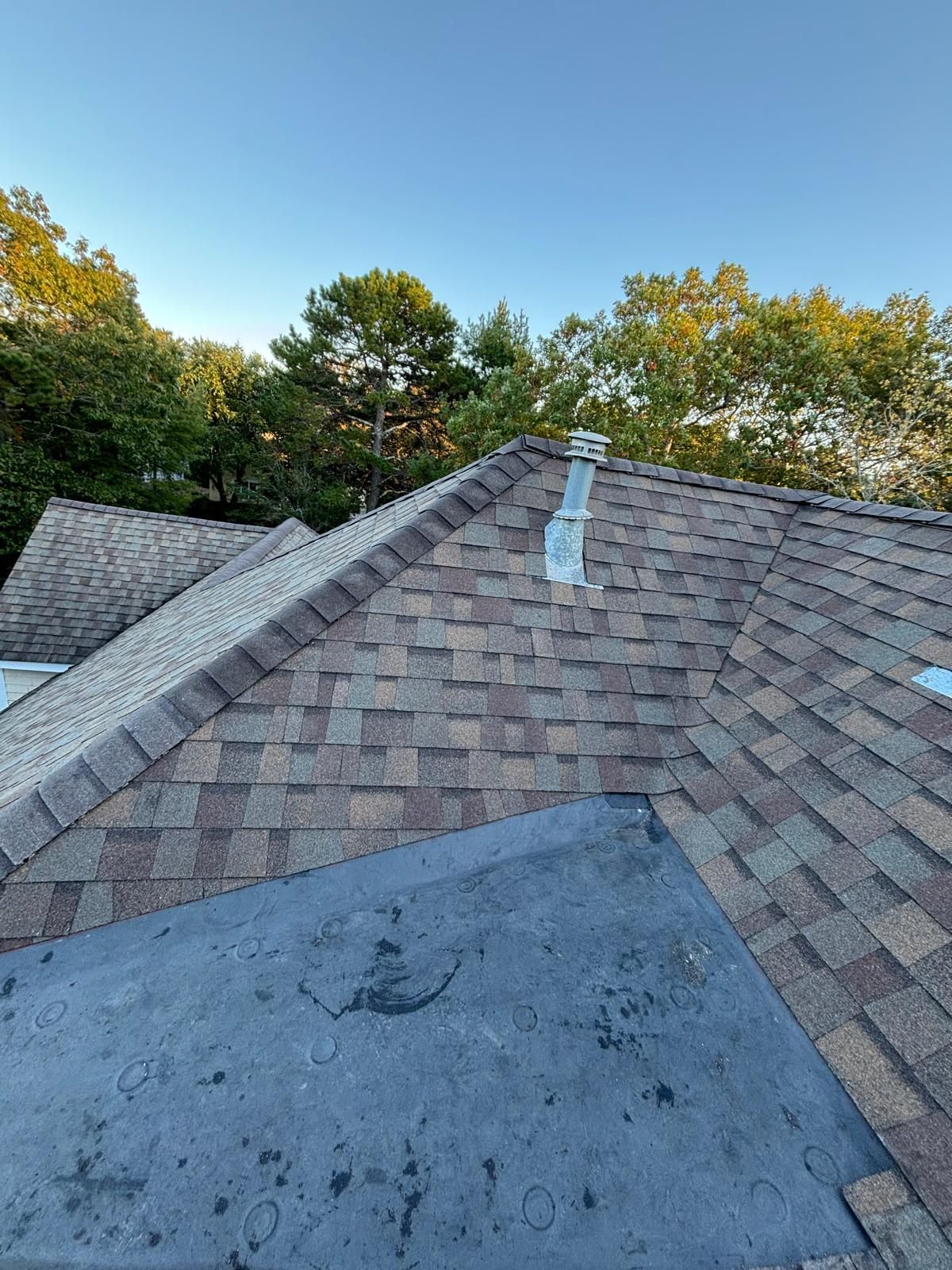 A shingled roof with a chimney and blue sky, trees in the background.