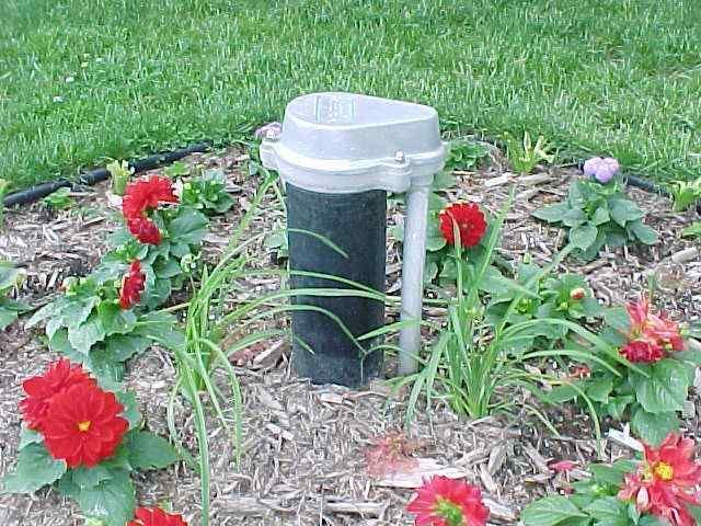 Garden sprinkler surrounded by red flowers and green plants in a mulched bed