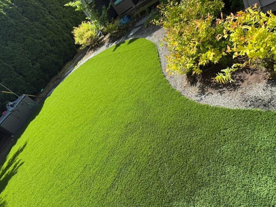 An aerial view of a lush green lawn with trees in the background.