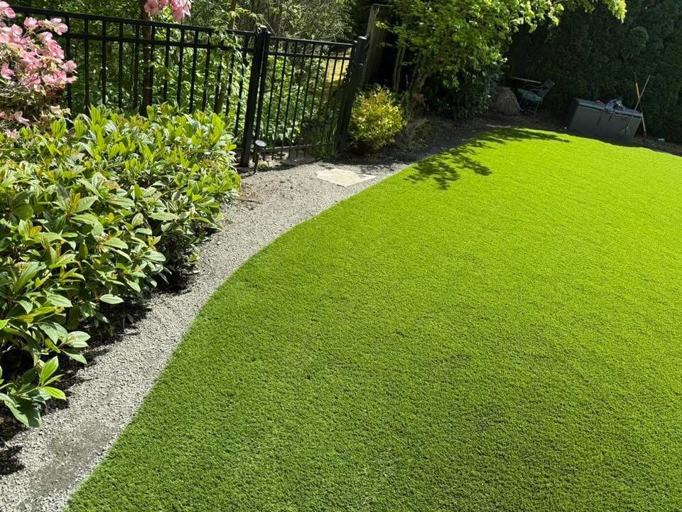A lush green lawn with a fence and bushes in the background.