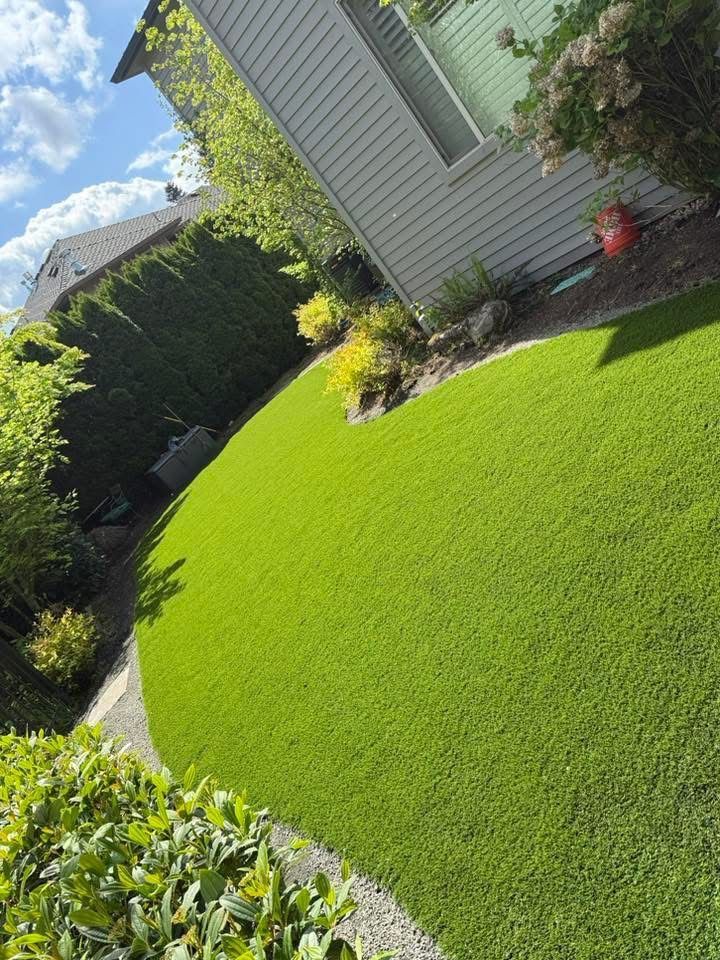A house with a lush green lawn in front of it.