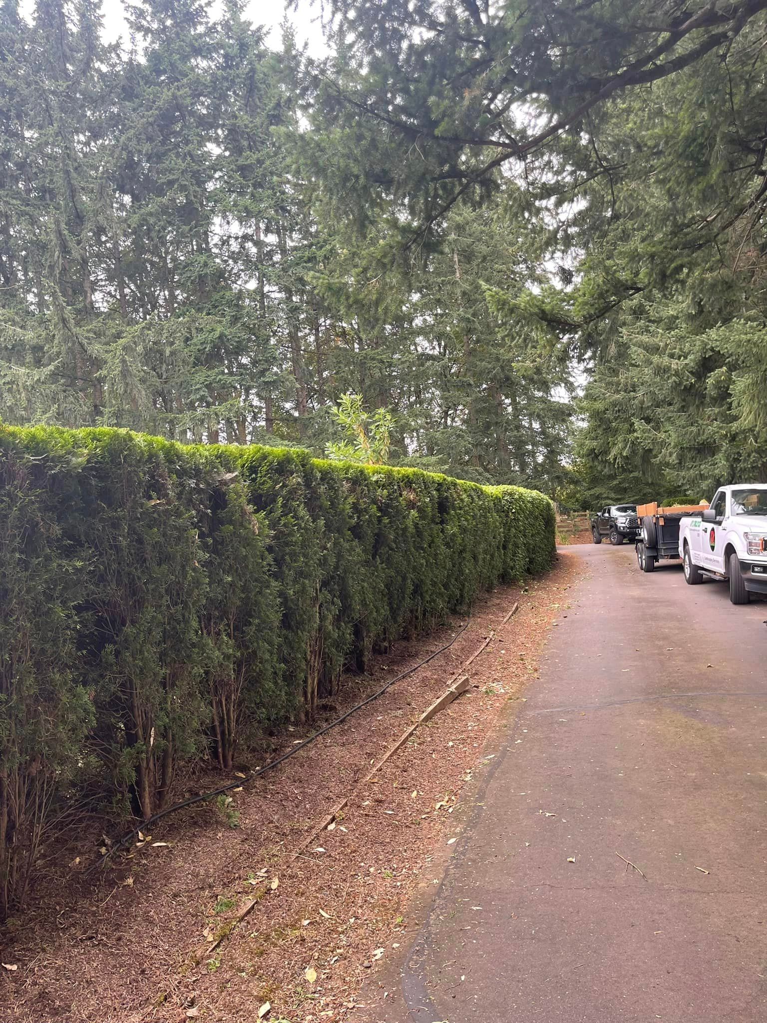 Property improvement services