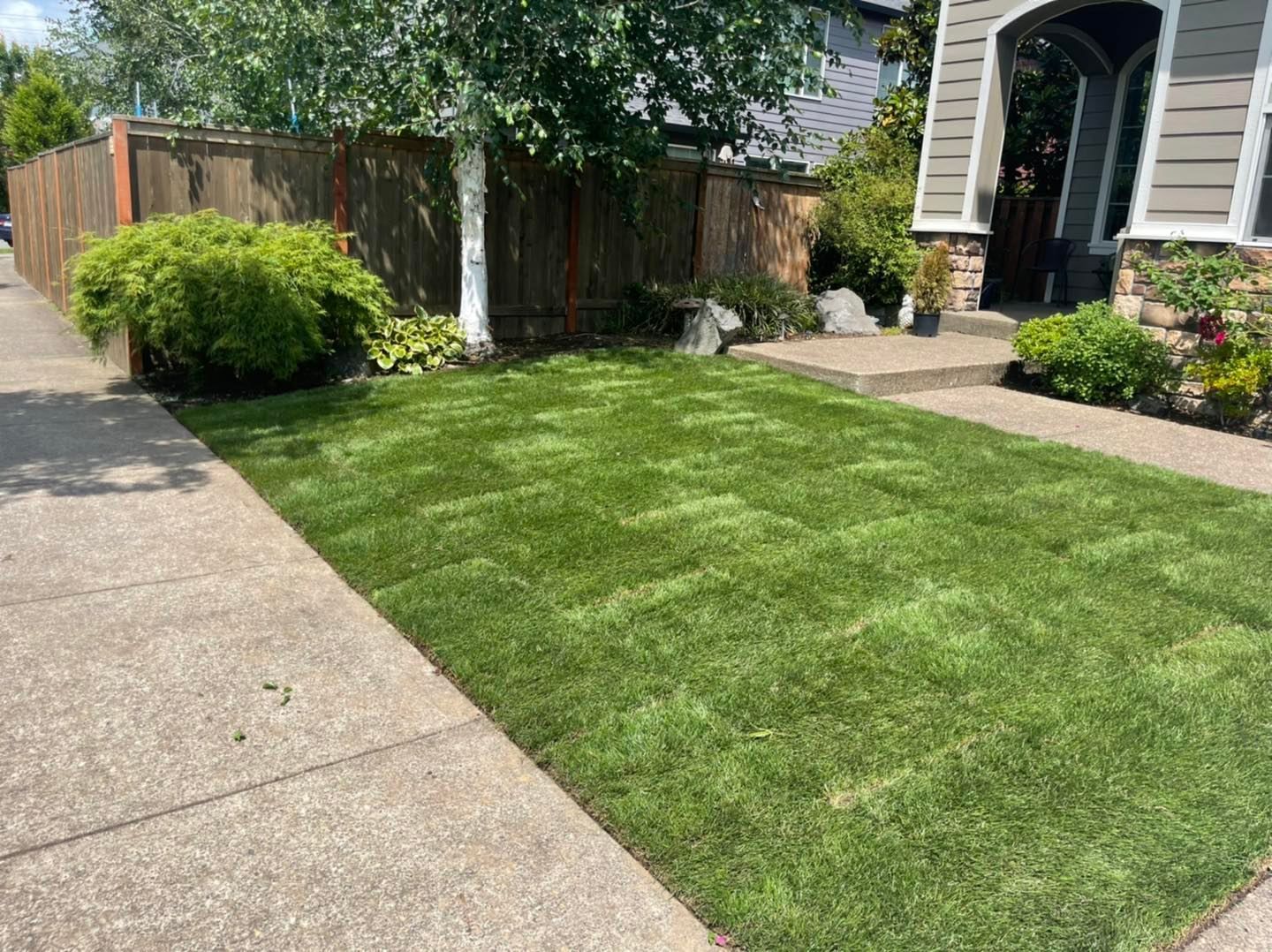 Landscape design services