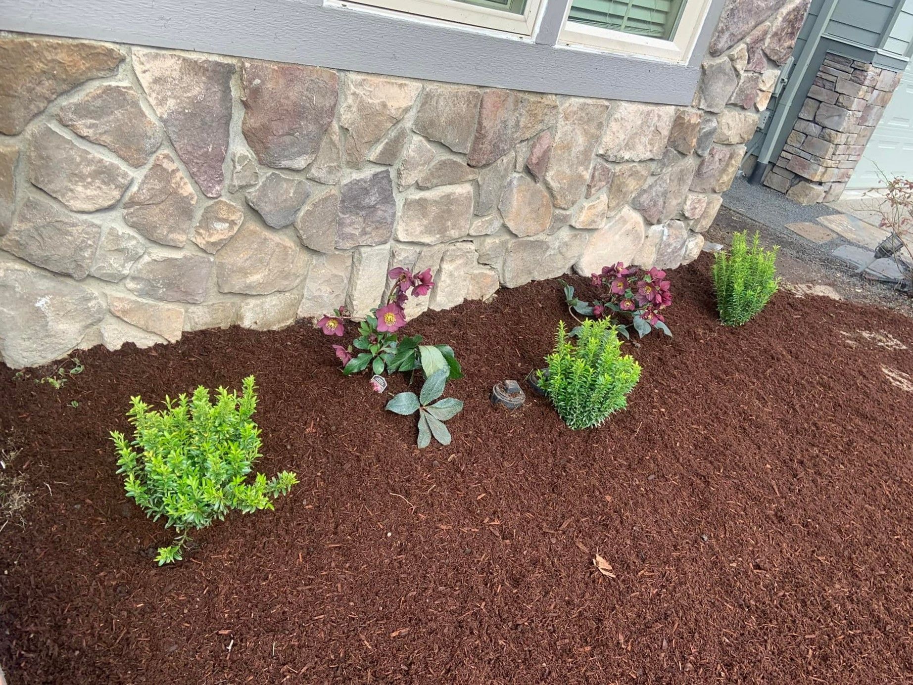 Landscape design services