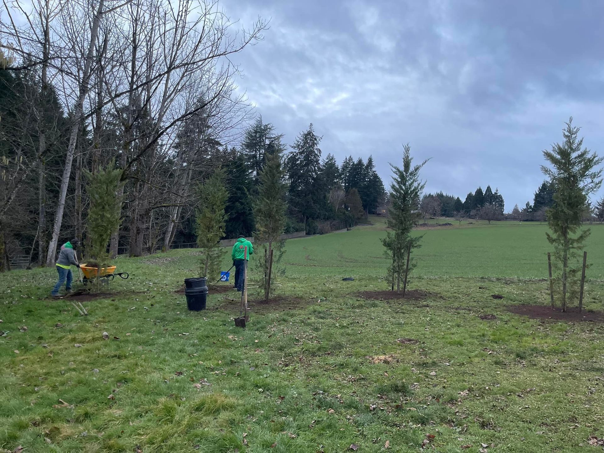 Property improvement services