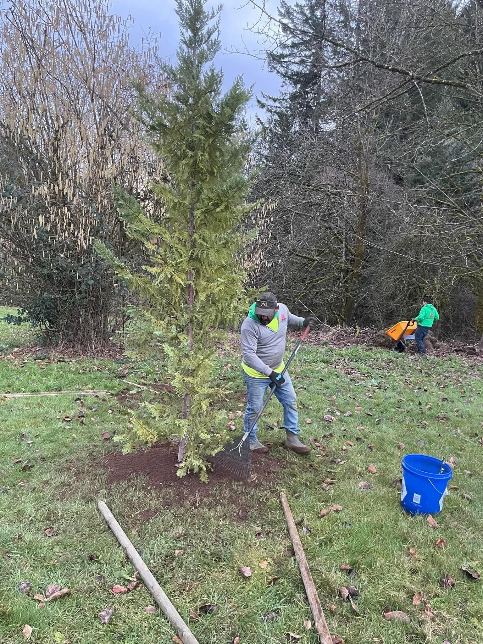 Property improvement services