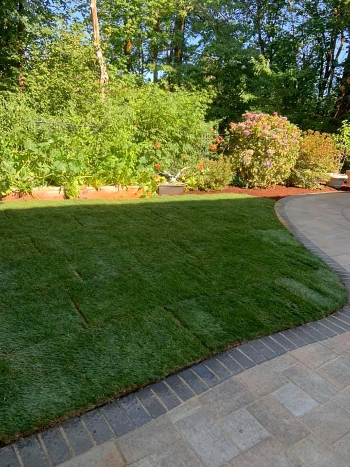 Landscape design services