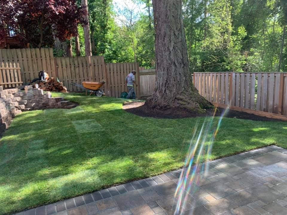 Landscape design services