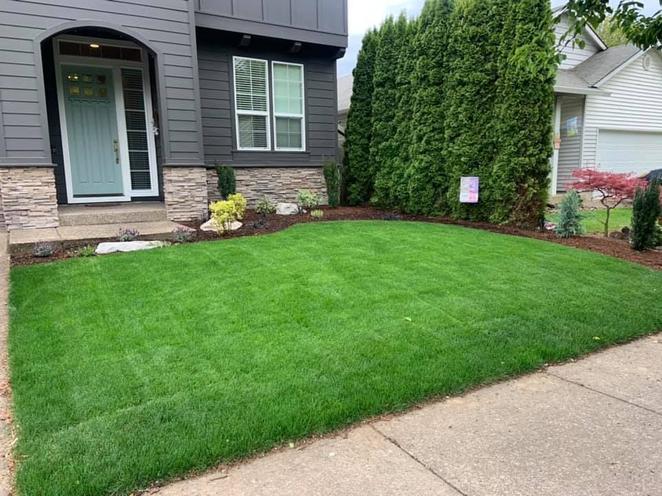 Landscape design services