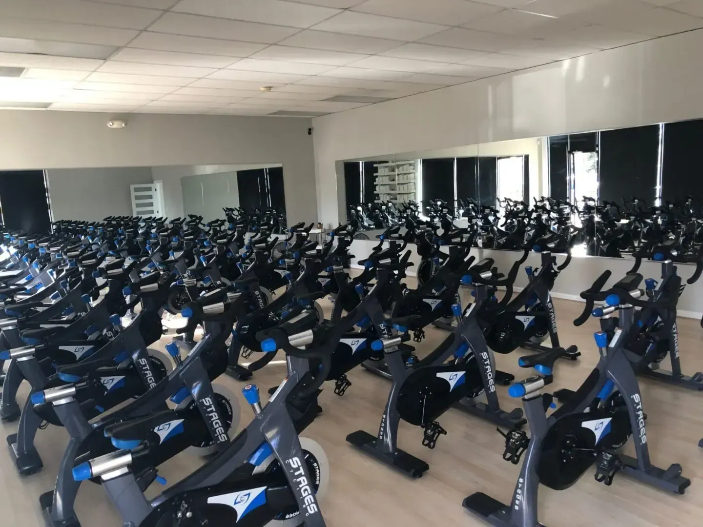 A large room filled with lots of exercise bikes