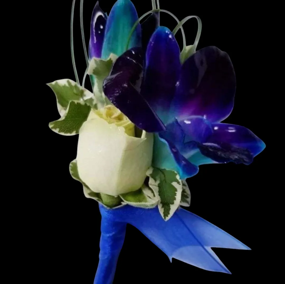 Boutonniere with a white rose, blue orchid, and ribbon on a black background.