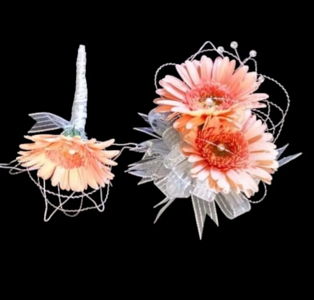 Two peach gerbera daisy corsages on a black background; one with a handle and one wristlet style.
